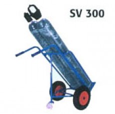 SV300